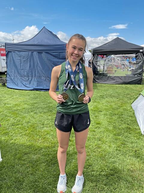 Pine-Richland distance runner comes home from states with personal bests, medals