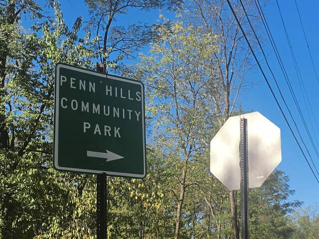 In brief: Father’s Day Program, movies in the park and more around Penn Hills