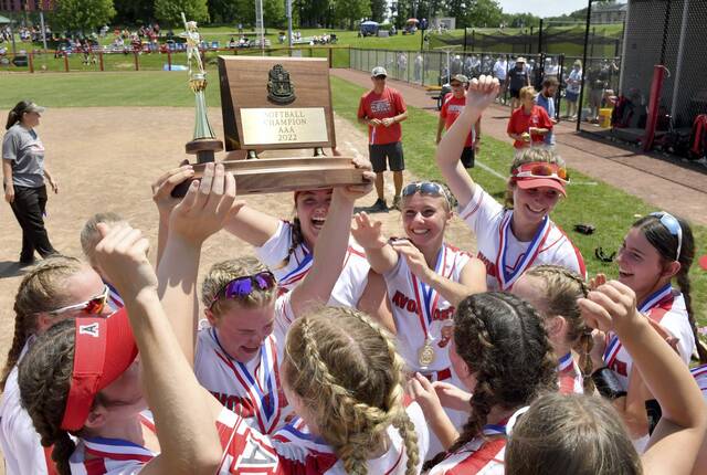 Avonworth tops Deer Lakes to claim WPIAL Class 3A softball crown