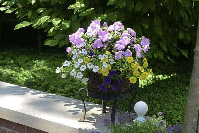 5130088_web1_SEW-GardenTours110-060222