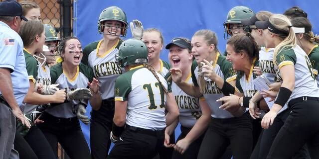 Deer Lakes softball reflects on impressive season