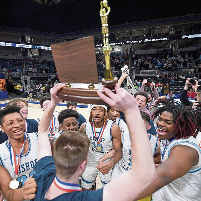 WPIAL approves new basketball sections without addressing public-private concerns