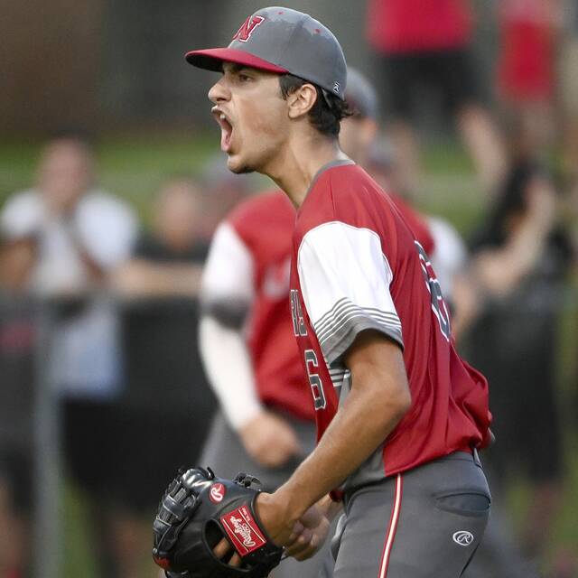 2022 PIAA Class 2A baseball championship preview: Neshannock vs. Everett