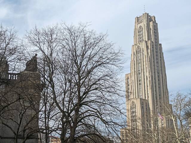 5155159_web1_web-cathedraloflearning