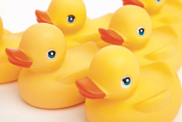 5163083_web1_web-ducks
