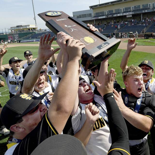 5165374_web1_ptr-PIAA4Abase01-061722