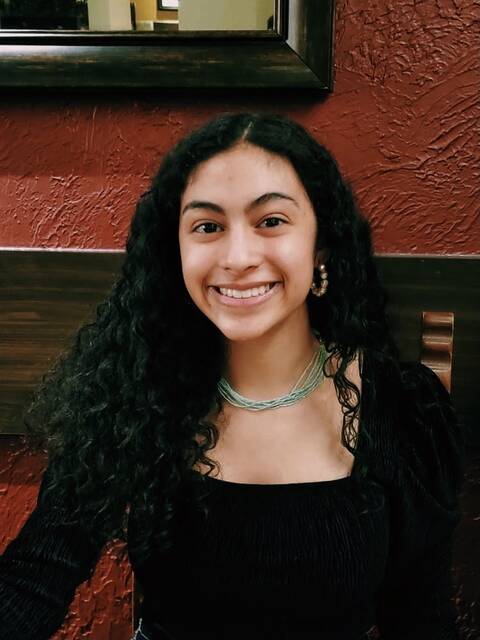 Sewickley Girl Scouts earn Gold Awards