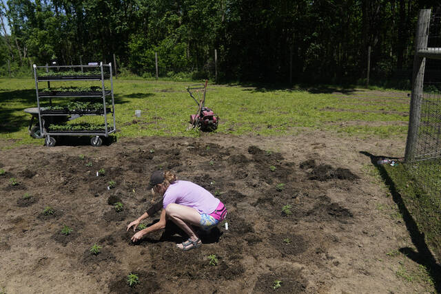 5198474_web1_5198474-155d9ac326744e8fa8417b6aed588424