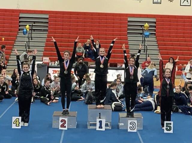 Breaking down changes to the 2022-23, 2023-24 WPIAL gymnastics alignment