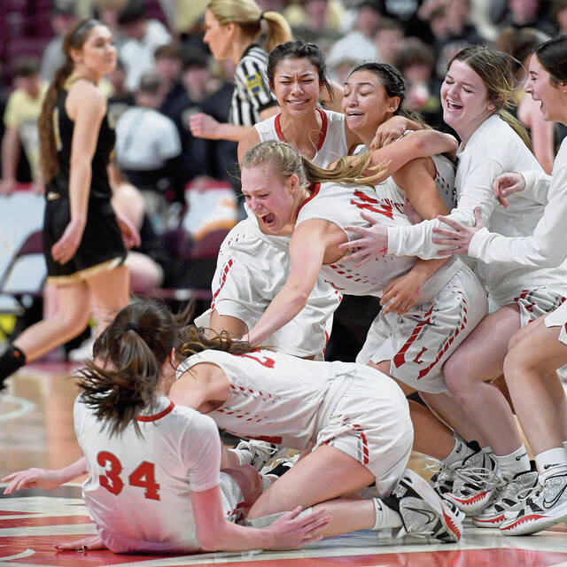 State champion girls basketball, softball, spirit teams lift Neshannock to Trib Cup in Class 2A