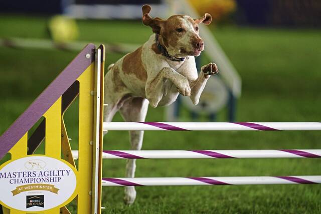 5217189_web1_AP22186724464990