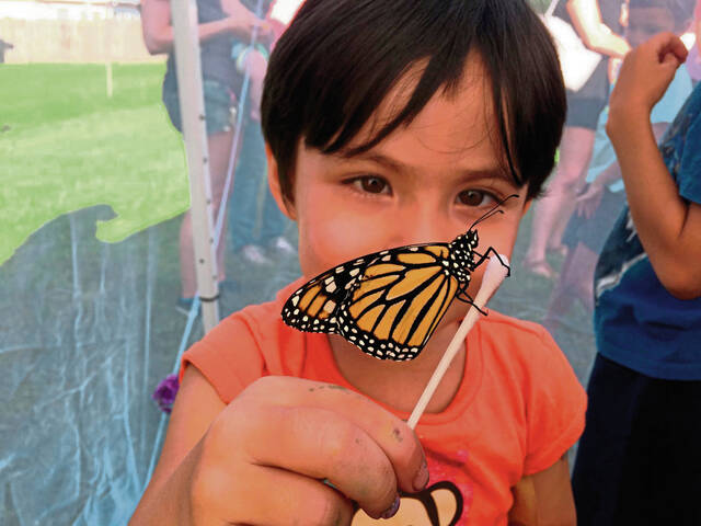 5255384_web1_gtr-butterflies-072418