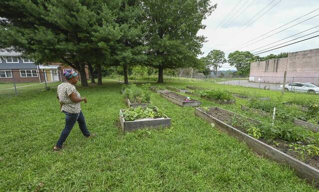 5277615_web1_vnd-harrisongarden200-072822