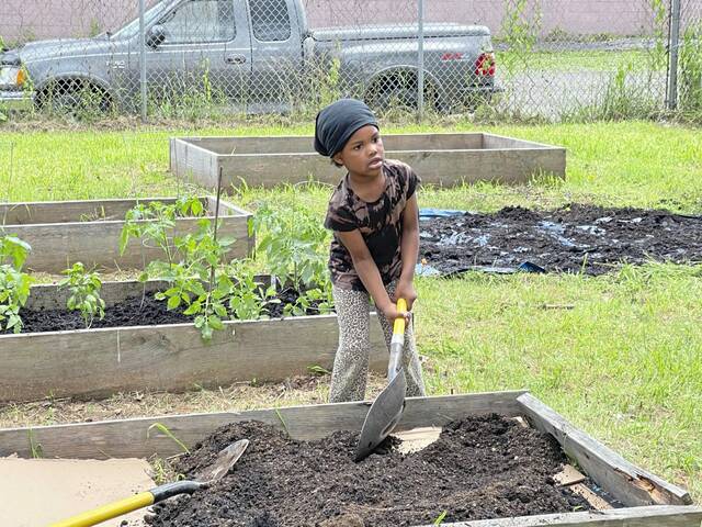 5277615_web1_vnd-sheldonparkgarden-072822--2-