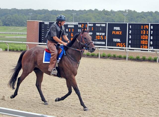 5294886_web1_ptr-racehorsedeaths-080222
