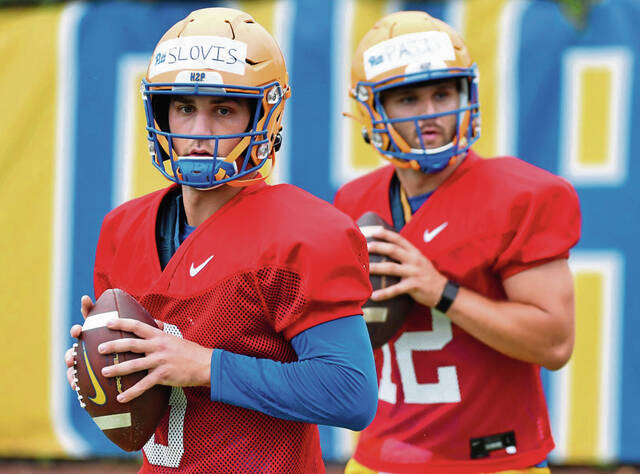 5295411_web1_ptr-Pitt08-080222
