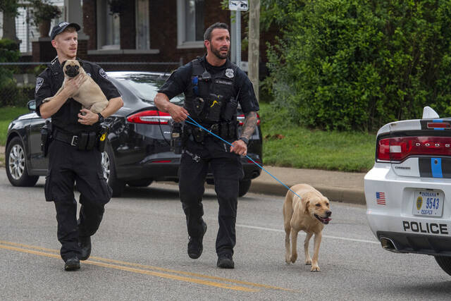 5324705_web1_AP22222849844134