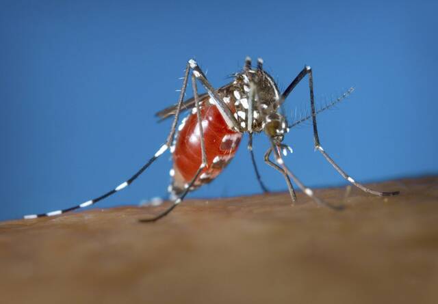 5325686_web1_ptr-MosquitoTreatment-081222