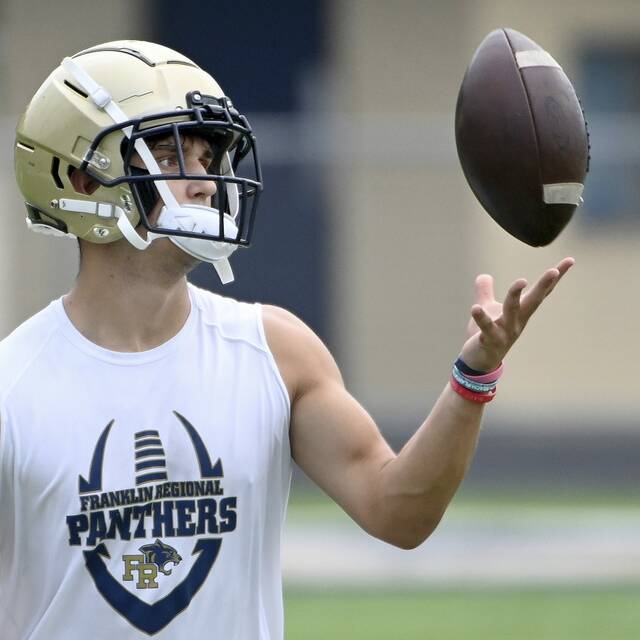 Franklin Regional’s Ayden Hudock looking for breakout season