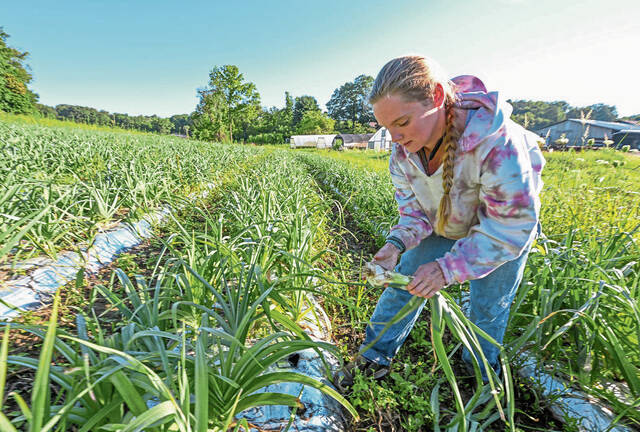 5340860_web1_GTR-FarmFeature2-107-082122