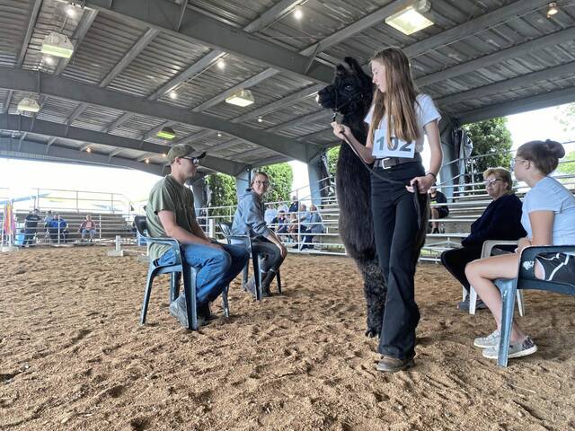 5356882_web1_gtr-LlamaShow-082222-3