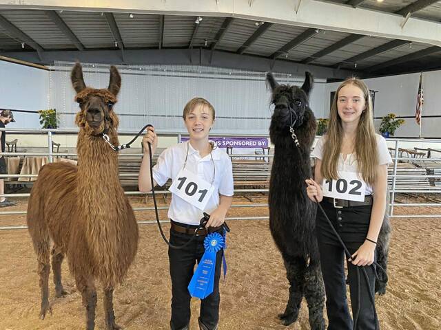 5356882_web1_gtr-LlamaShow-082222
