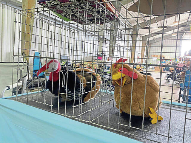 5359533_web1_gtr-ChickenShow-082322