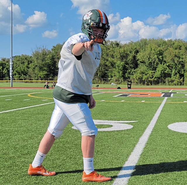 Yough has ‘extension of a coach’ in WR Roebuck