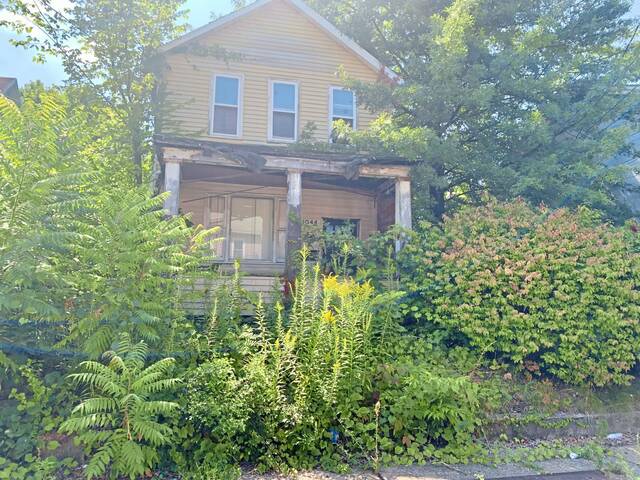 5365195_web1_vnd-brackblight-082622--1-