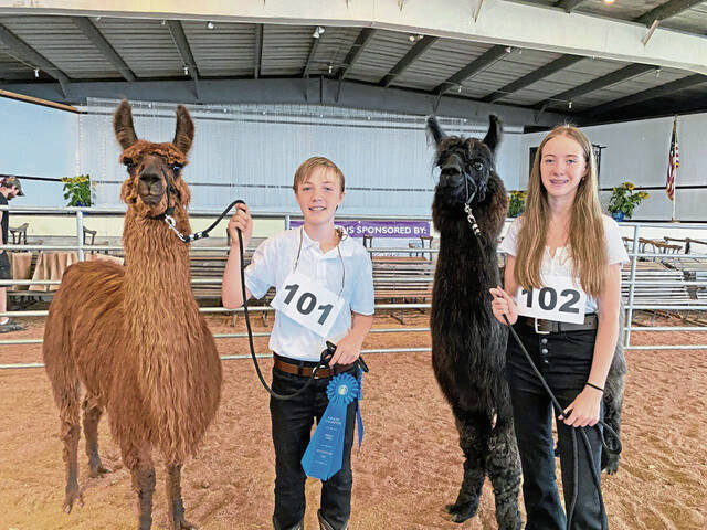 5375344_web1_gtr-LlamaShow-082222