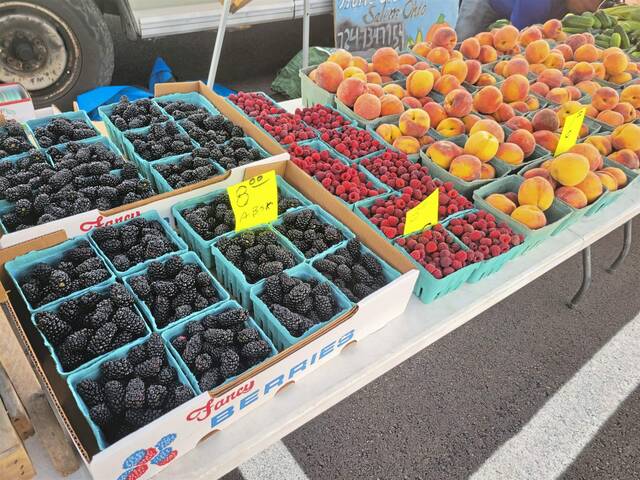 5383382_web1_hj-farmersmarket-090822-2