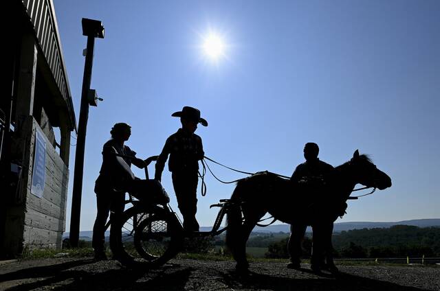 5386711_web1_gtr-MiniHorse100-082622