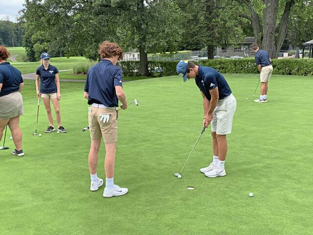 Freeport boys golf off to strong start against local rivals