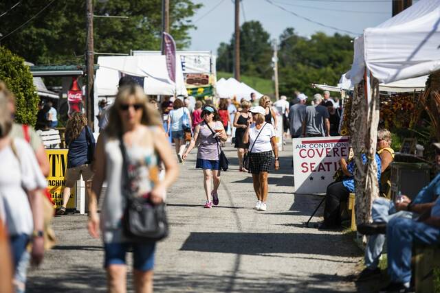 5390131_web1_gtr-lo-fairfestival3-090322