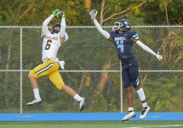 Please excuse The Birdie as he makes his Week 2 picks in A-K Valley football