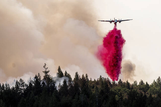 5417450_web1_5417450-f5e84ee104ec4ca595247f6e43048404