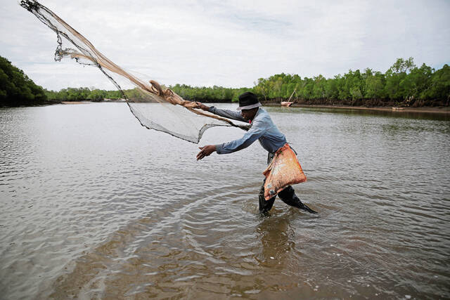 5417892_web1_AP22250553546350