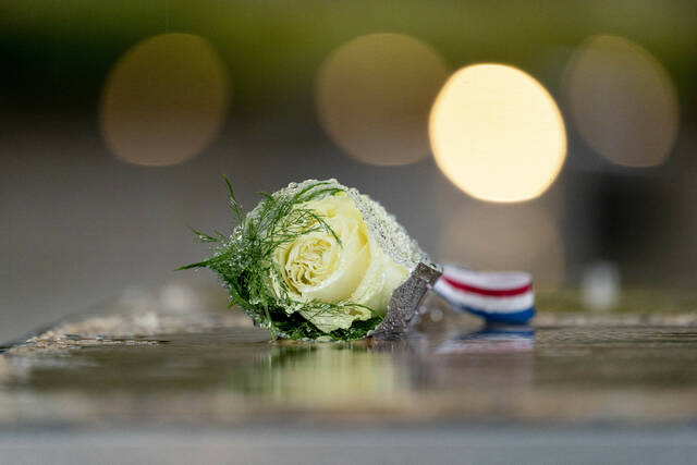 5419282_web1_5419282-7fac1fd244084d98877b0cc28691b9fd