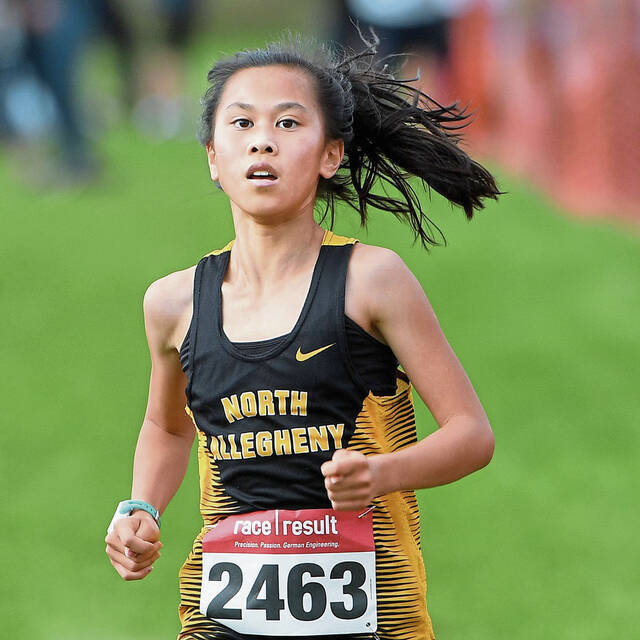 What to watch for in WPIAL sports on Sept. 13, 2022: Runners begin section competition