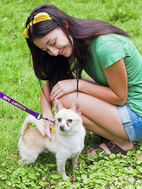 5426079_web1_pal-muttstrut-092222-8
