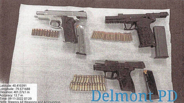 5427647_web1_Delmont-police-guns-seized