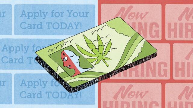 5427866_web1_ptr-SPOTmarijuana1