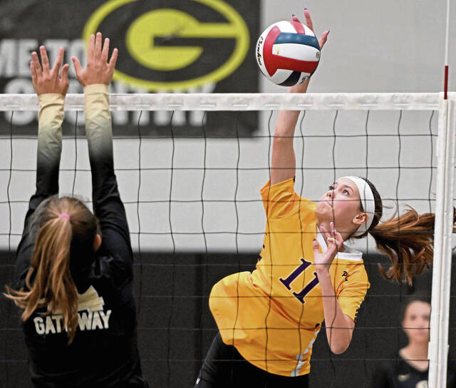 Plum girls volleyball aims to ‘seize the opportunity’ again