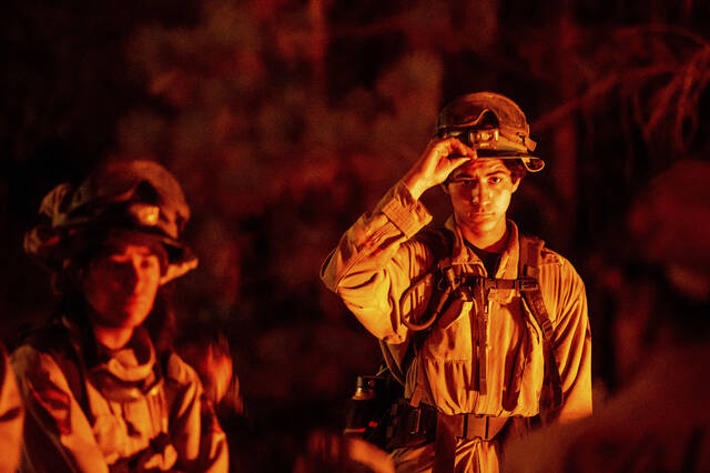 5431943_web1_5431943-a59a2f683b8745519b86ef2116e19001