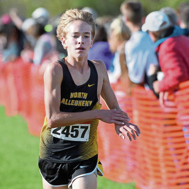 Talented sophomores pacing defending PIAA champion North Allegheny cross country teams