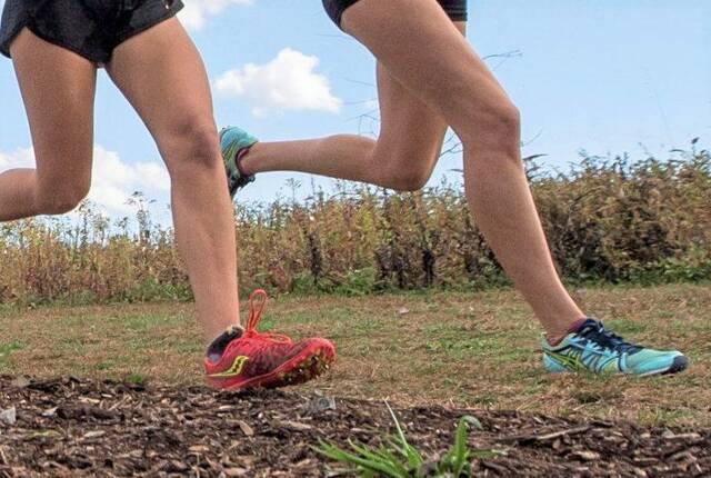 5468571_web1_WEB-runners