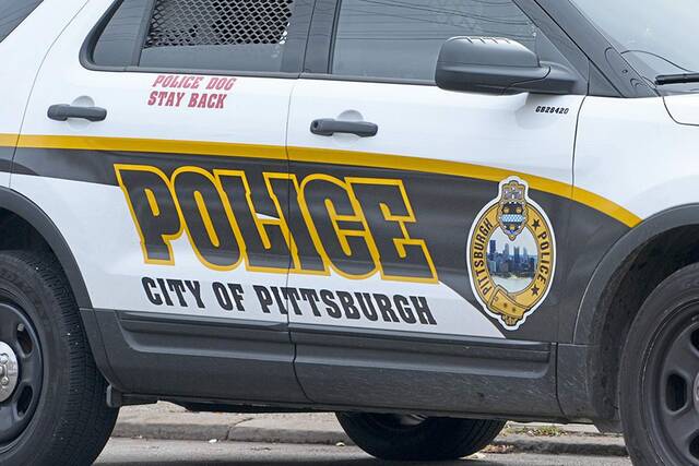 Man shot dead in Pittsburgh’s Arlington neighborhood