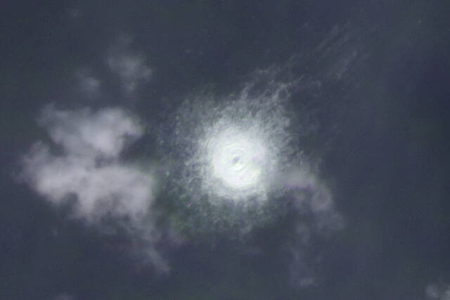 5475390_web1_5475390-0169ea7281b64385a73fa2cc284433b7