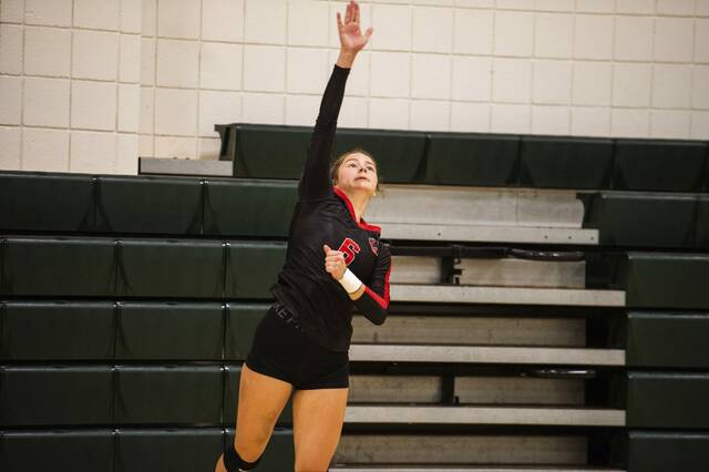 Mix of veterans, young players providing spark for Ligonier Valley volleyball