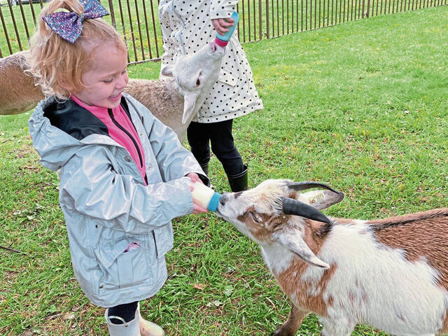 5483188_web1_gtr-applefest3-100222